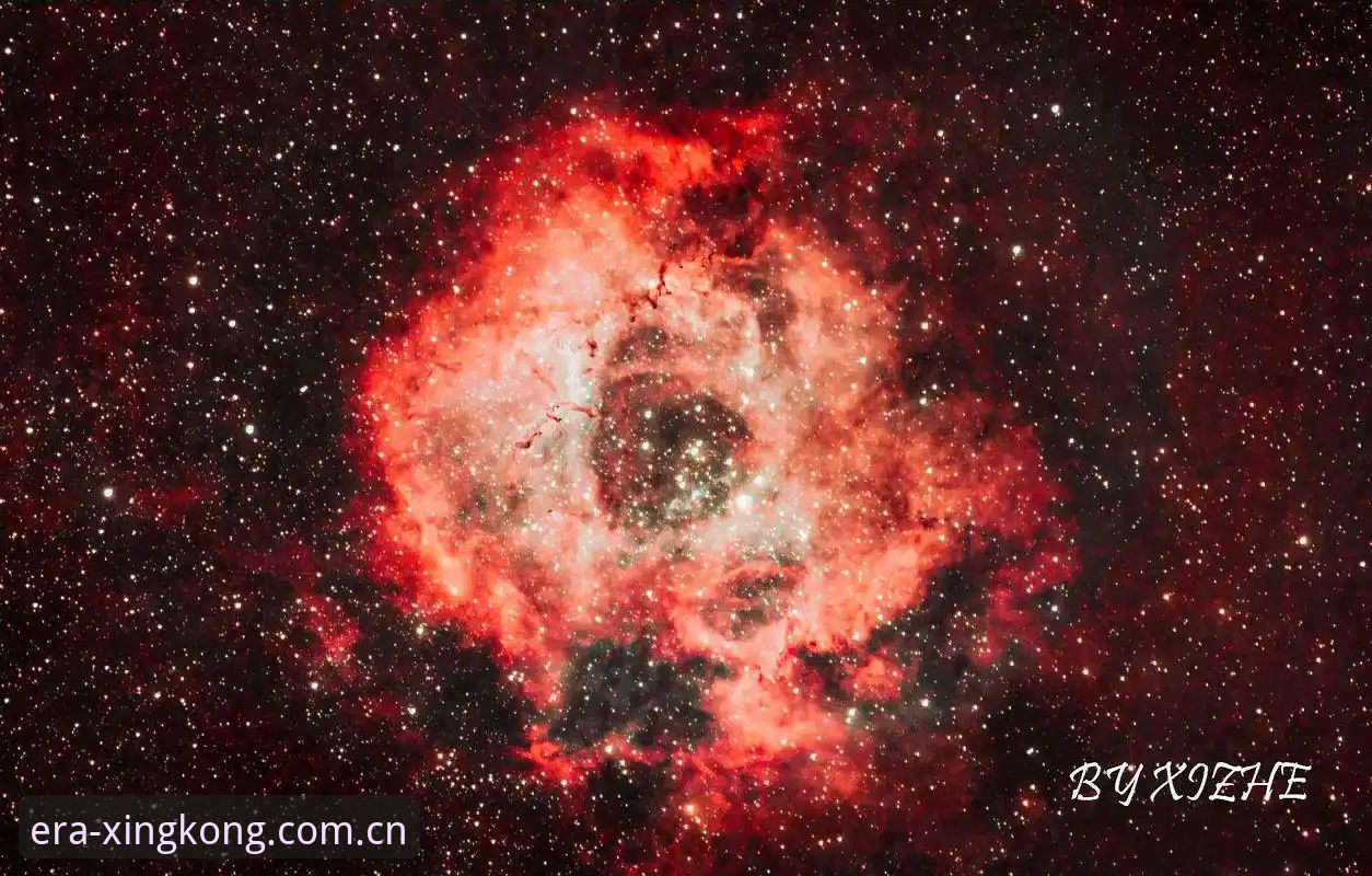 资深用户分享：星空APP赛事数据对比评测使用心得